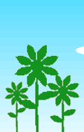 ひまわり
